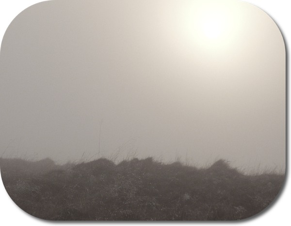 Chilly Scottish mist
